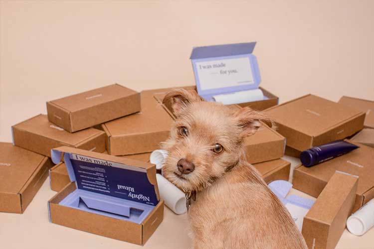 Unboxing mailer box dog