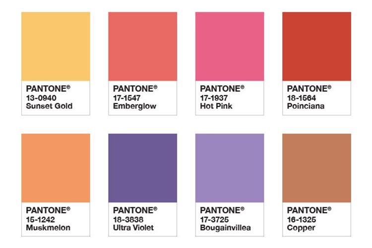 Pantone vs. CMYK for Custom-Branded Packaging