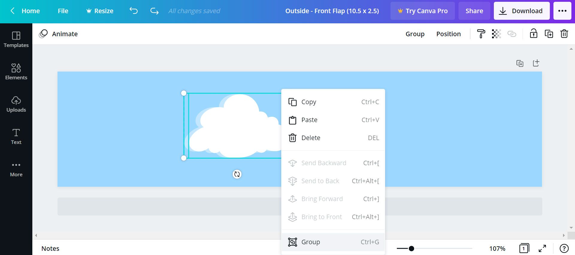 Canva group elements