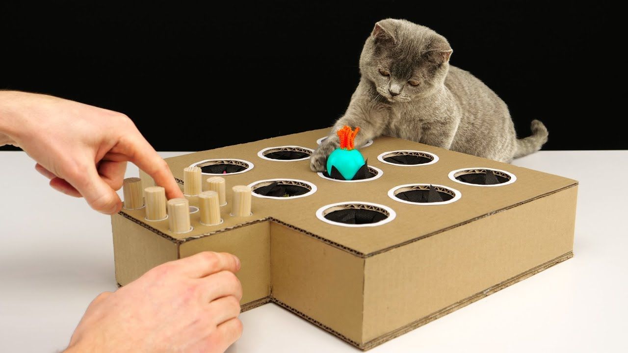 cat toy box with holes