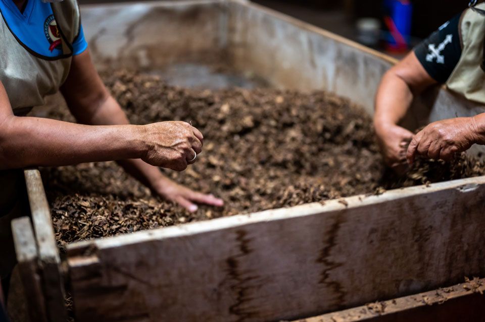 Gardening compost