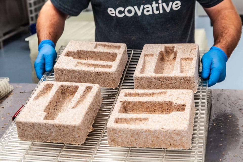 Ecovative Mycelium Mushroom Packaging