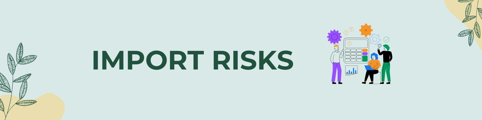 Import to New Zealand From China Import Risks