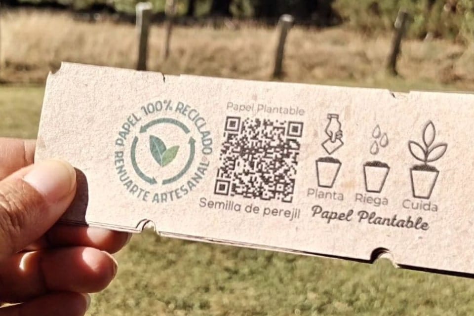 Steps for Sustainable Packaging Avoid Greenwashing Clear Instructions