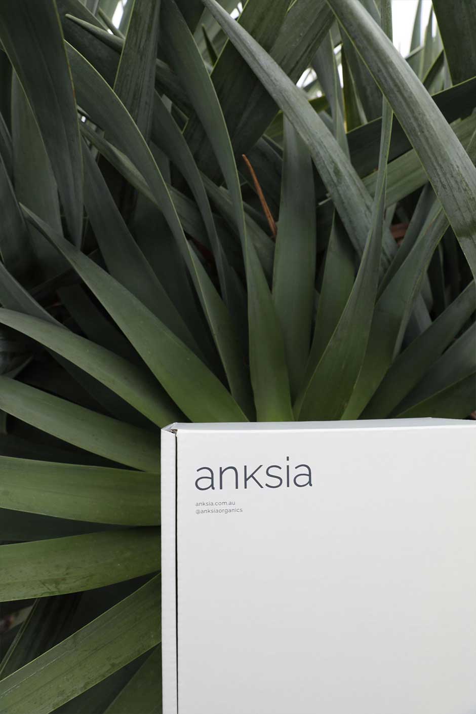Anksia Custom Packaging Boxes eCommerce