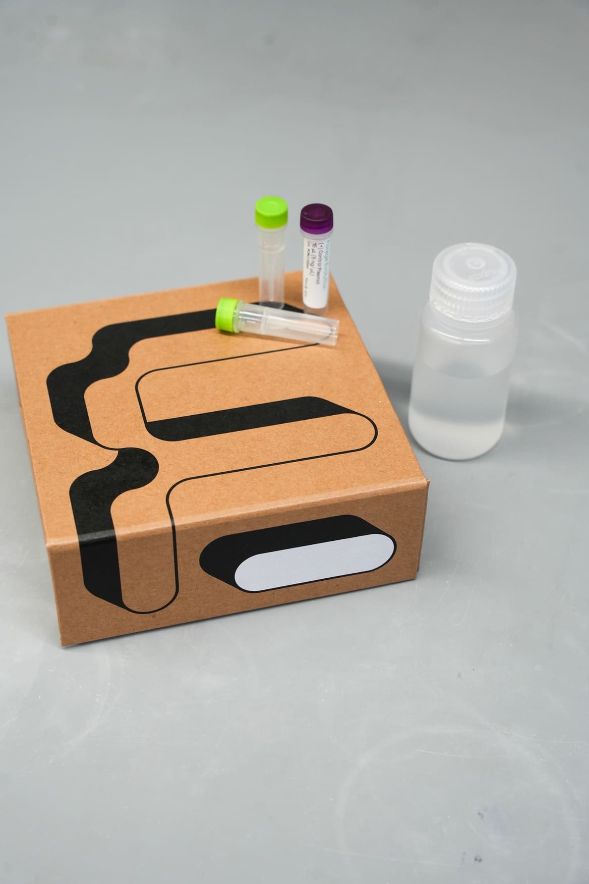 Forage Evolution Custom Printed Kraft Collapsible Magnetic Rigid Box