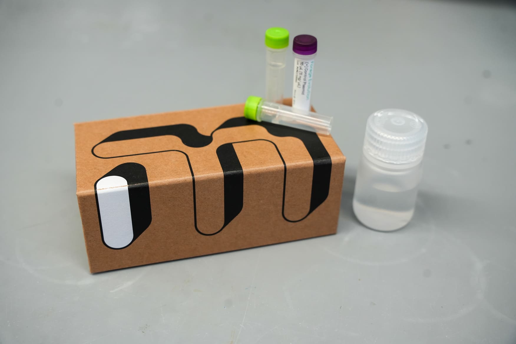 Forage Evolution Kraft Collapsible Magnetic Rigid Box