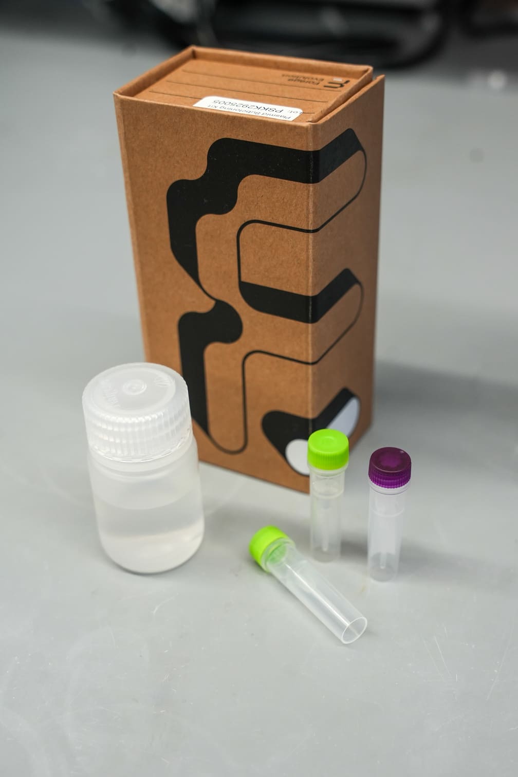 Forage Evolution Kraft Magnetic Rigid Box