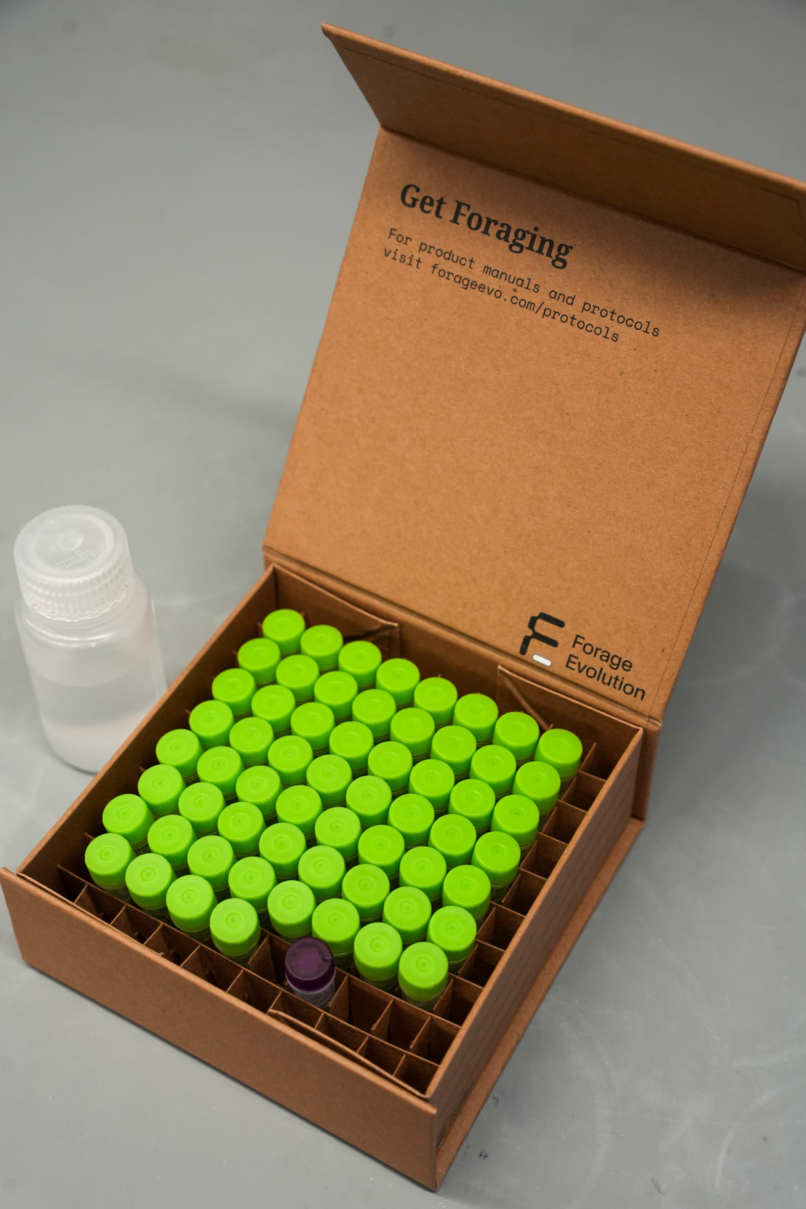 Forage Evolution Kraft Magnetic Rigid Box with Partitions