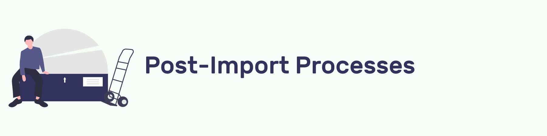Post-Import Processes Section Header