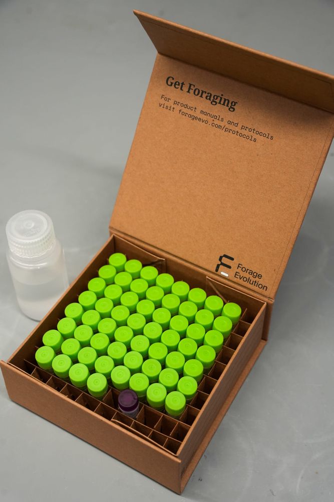 Forage Subscription Box Forage Evo Packaging Case Study | PackMojo