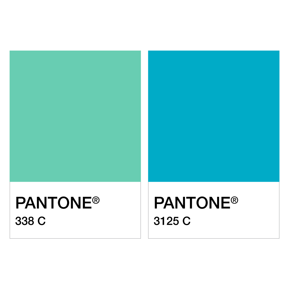 Pantone Color Chip Mockup