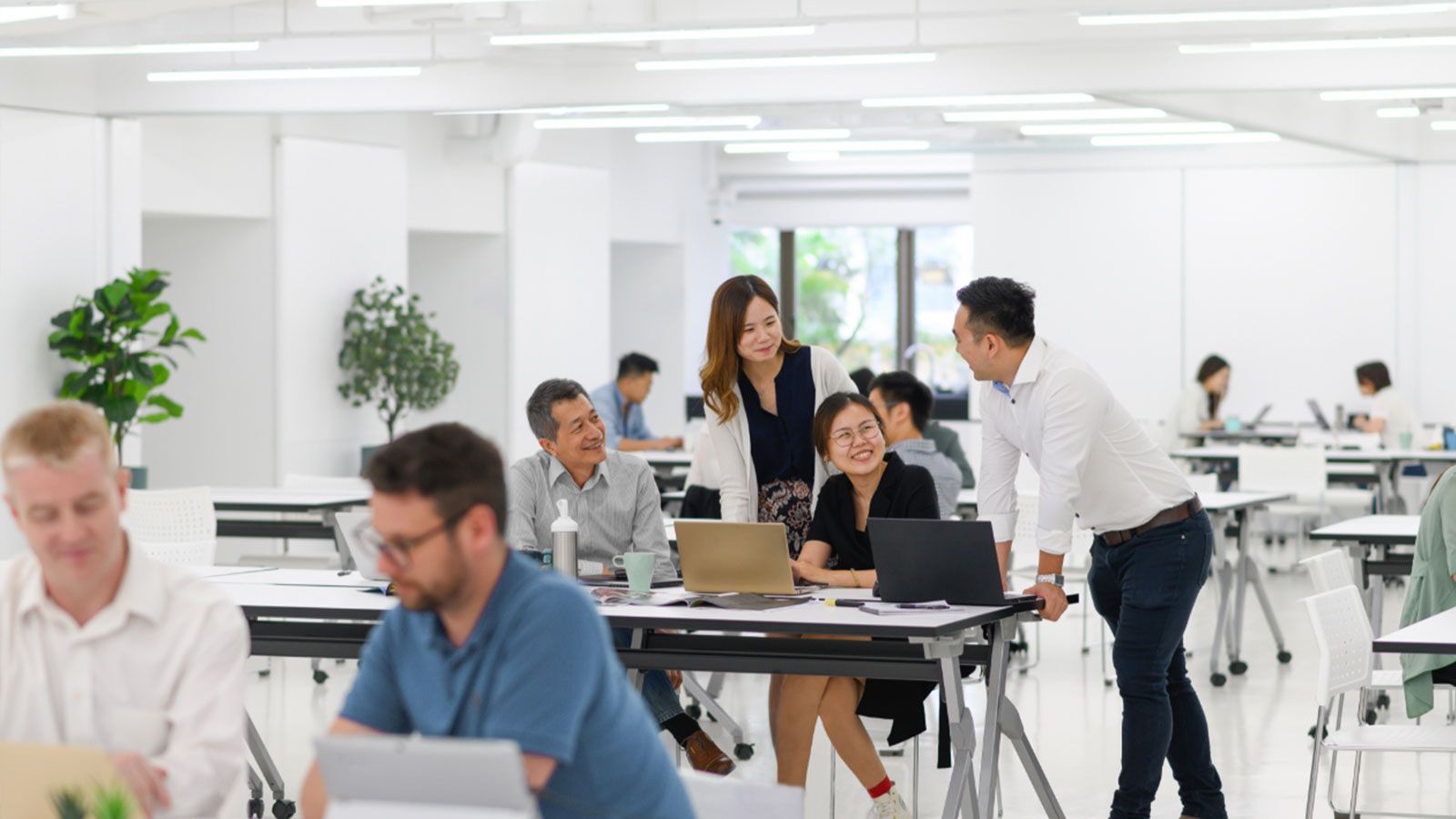 TheDesk PackMojo Partners PackMojo